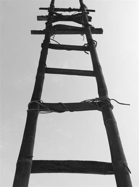 ladders