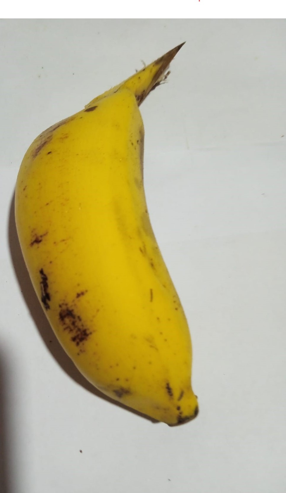 FreshBanana