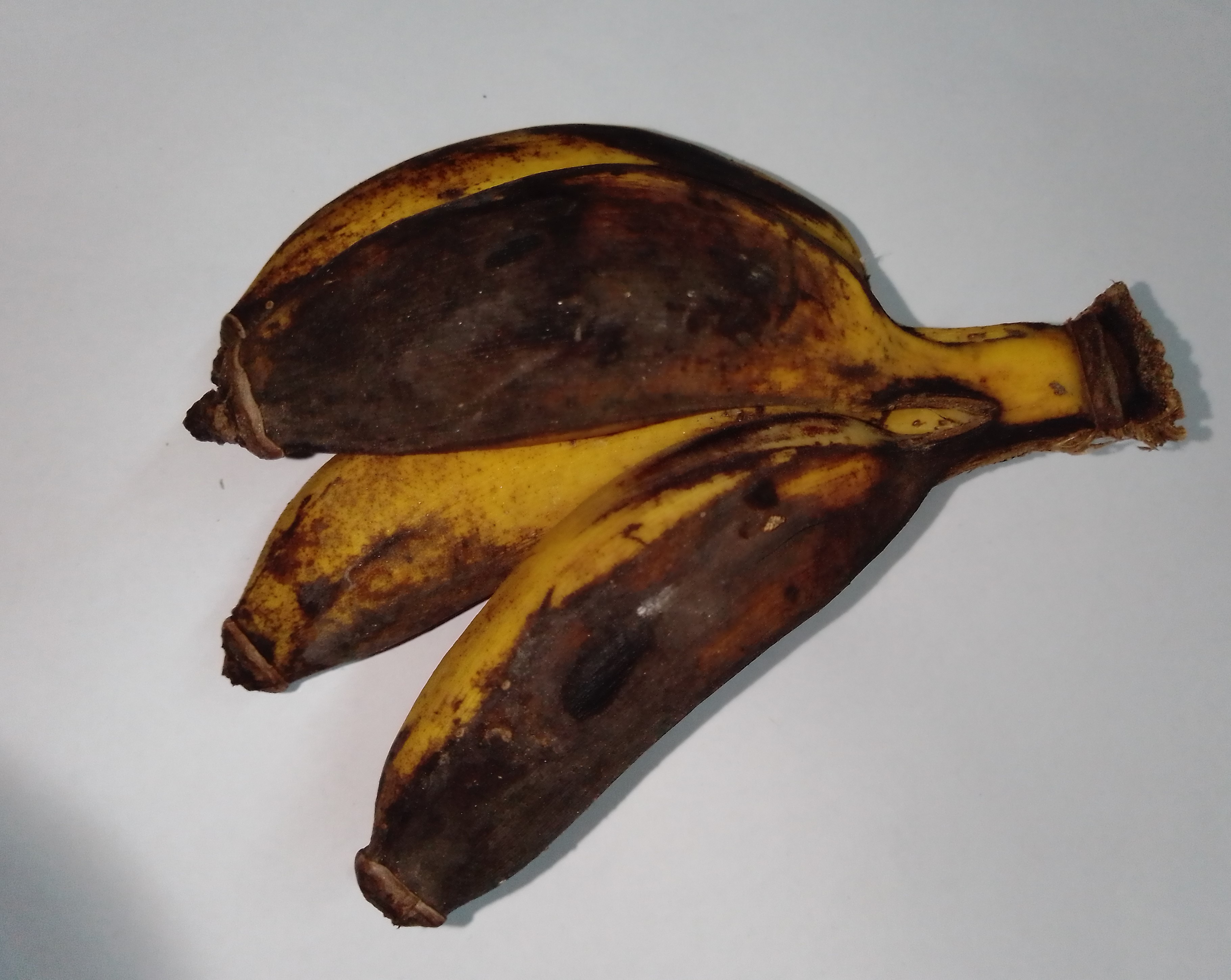 RottenBanana