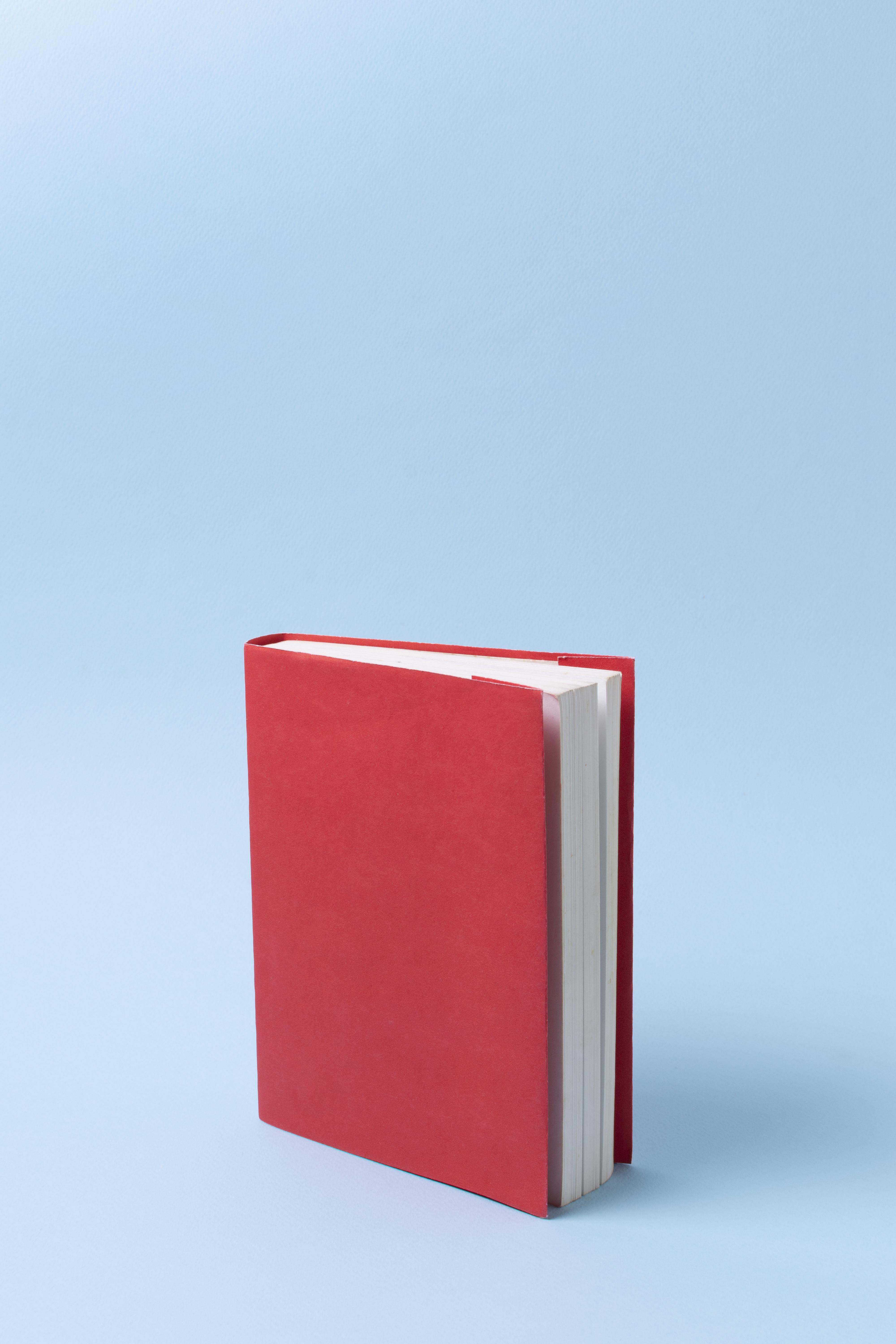 red_book_02.jpg