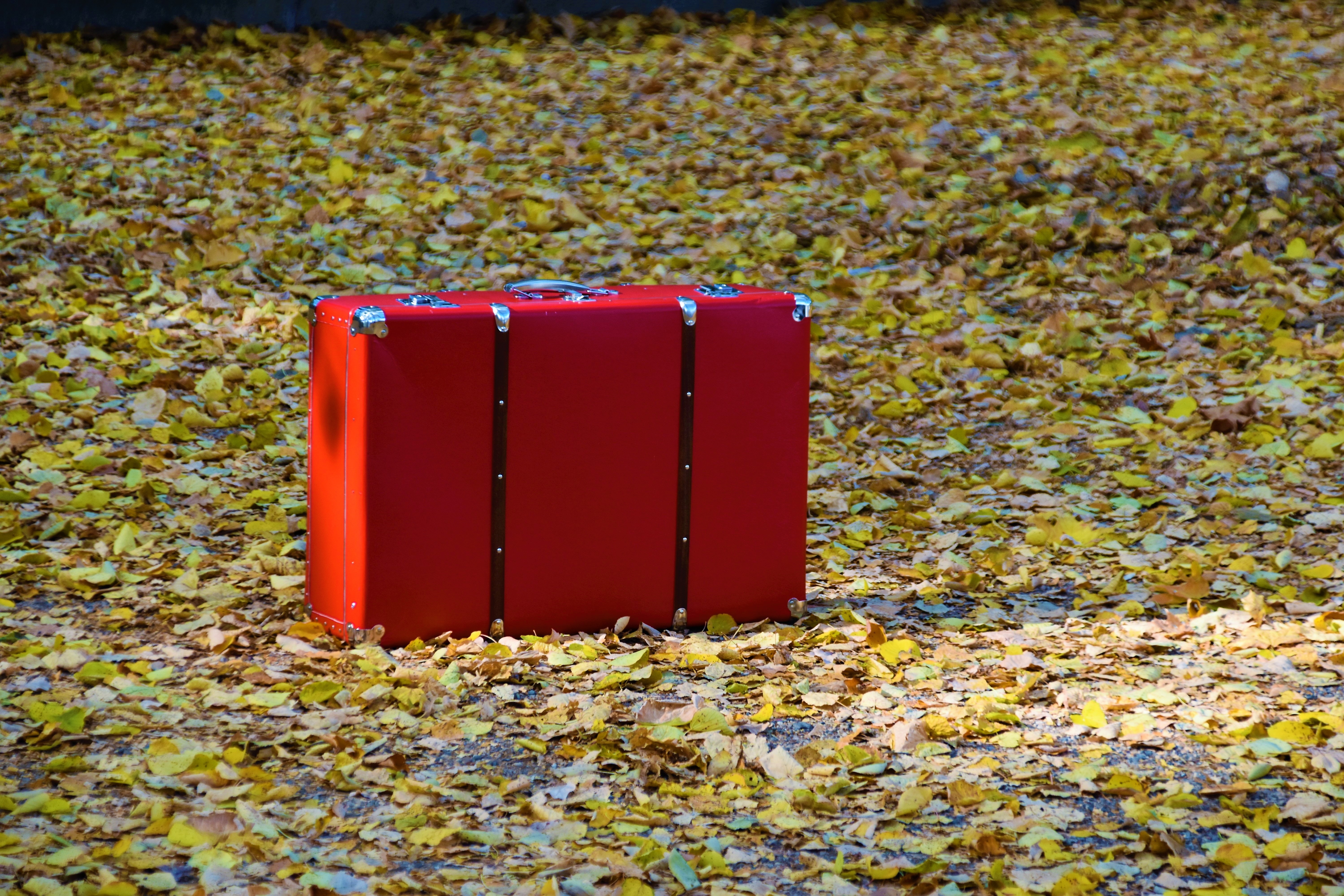 red_suitcase_04.jpg