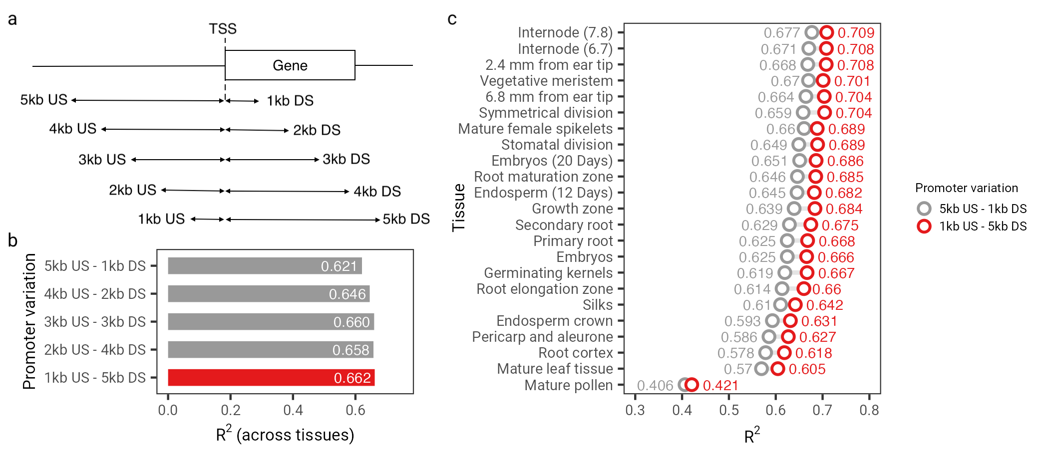 Figure6.png