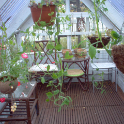 051011Greenhouse.jpg