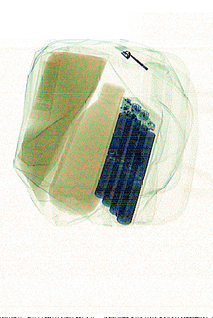 xray_easy01634.png