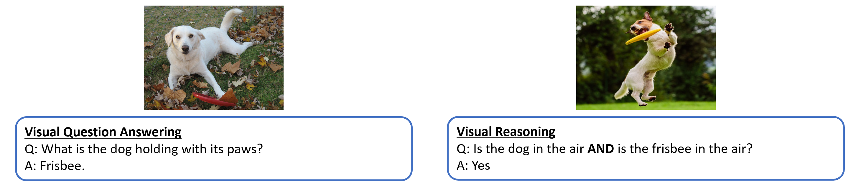 vqa_visual_reasoning.png