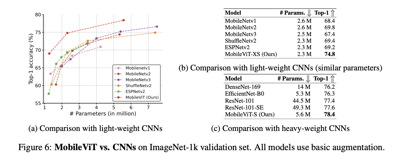 MobileViT-CNNPreformance.png