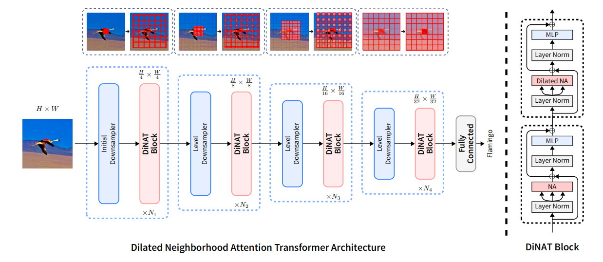 dinat_architecture.png