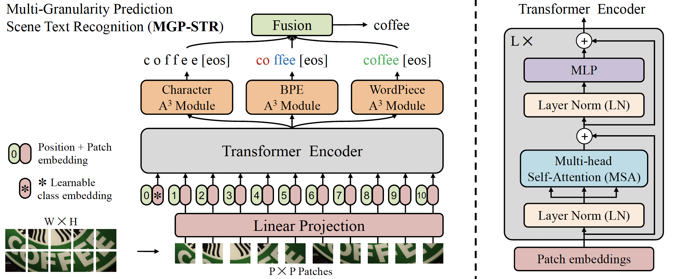 mgp_str_architecture.png