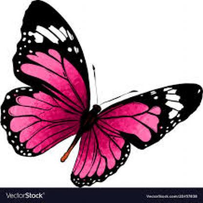 butterfly--129-_jpg.rf.8f0e014326d226b574ad97d099e965ad.jpg