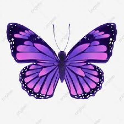 butterfly--161-_jpg.rf.4d9556dc1357f5ff1a30d6c148e6e6d6.jpg