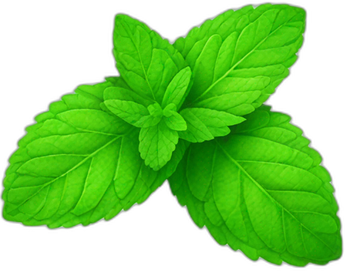 mint-logo.png