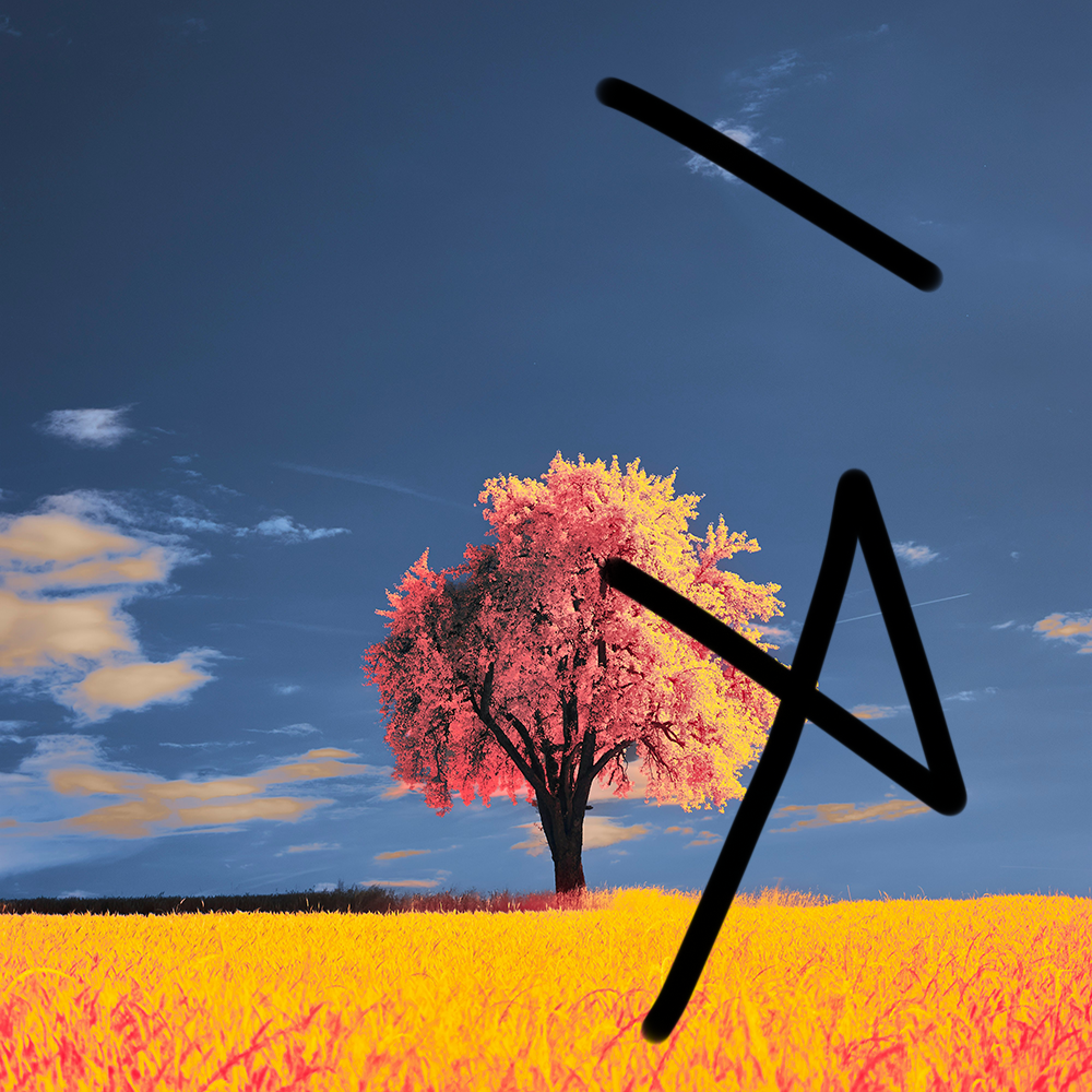 tree-vandalised.png