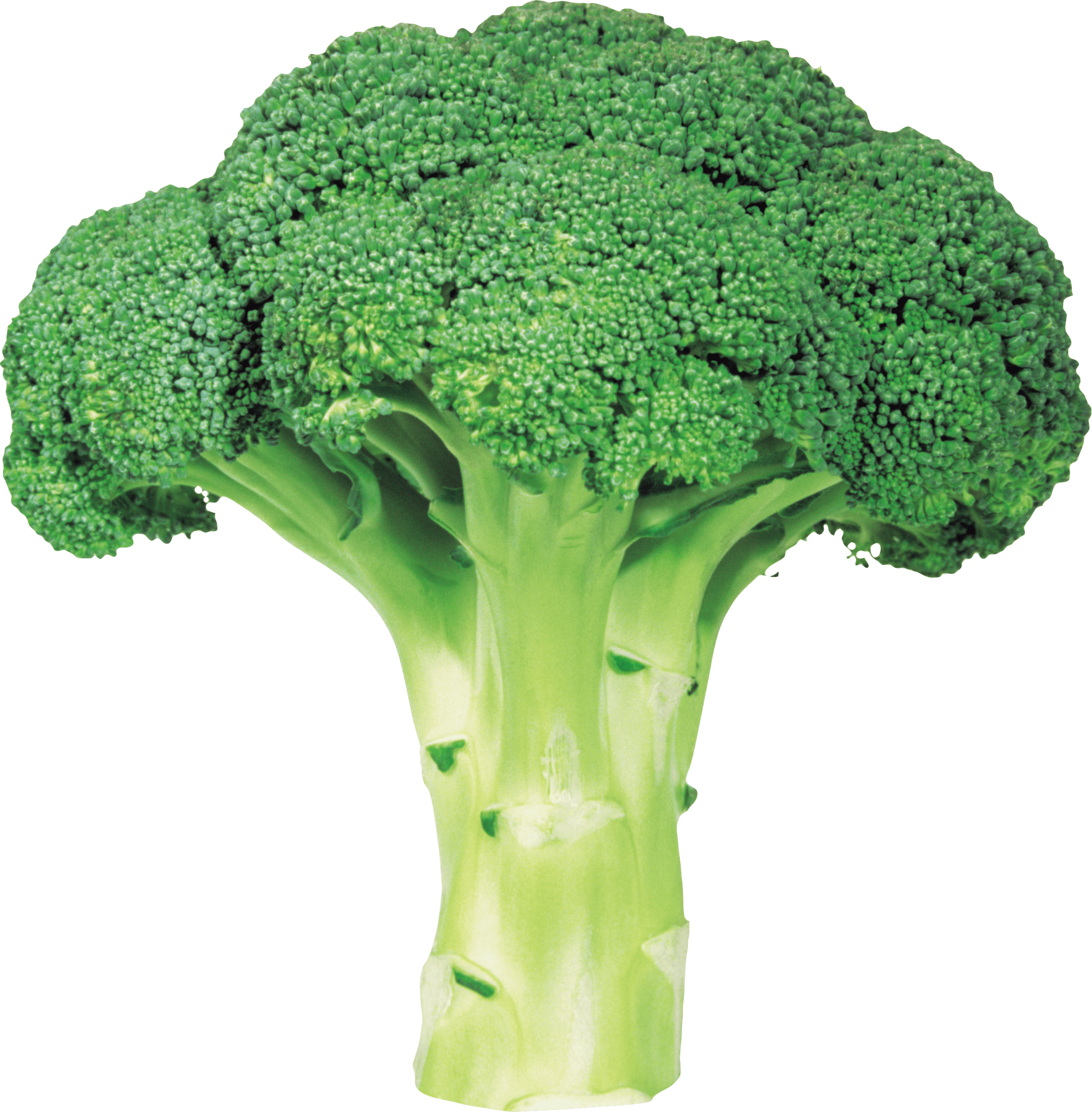 broccoli11.jpg