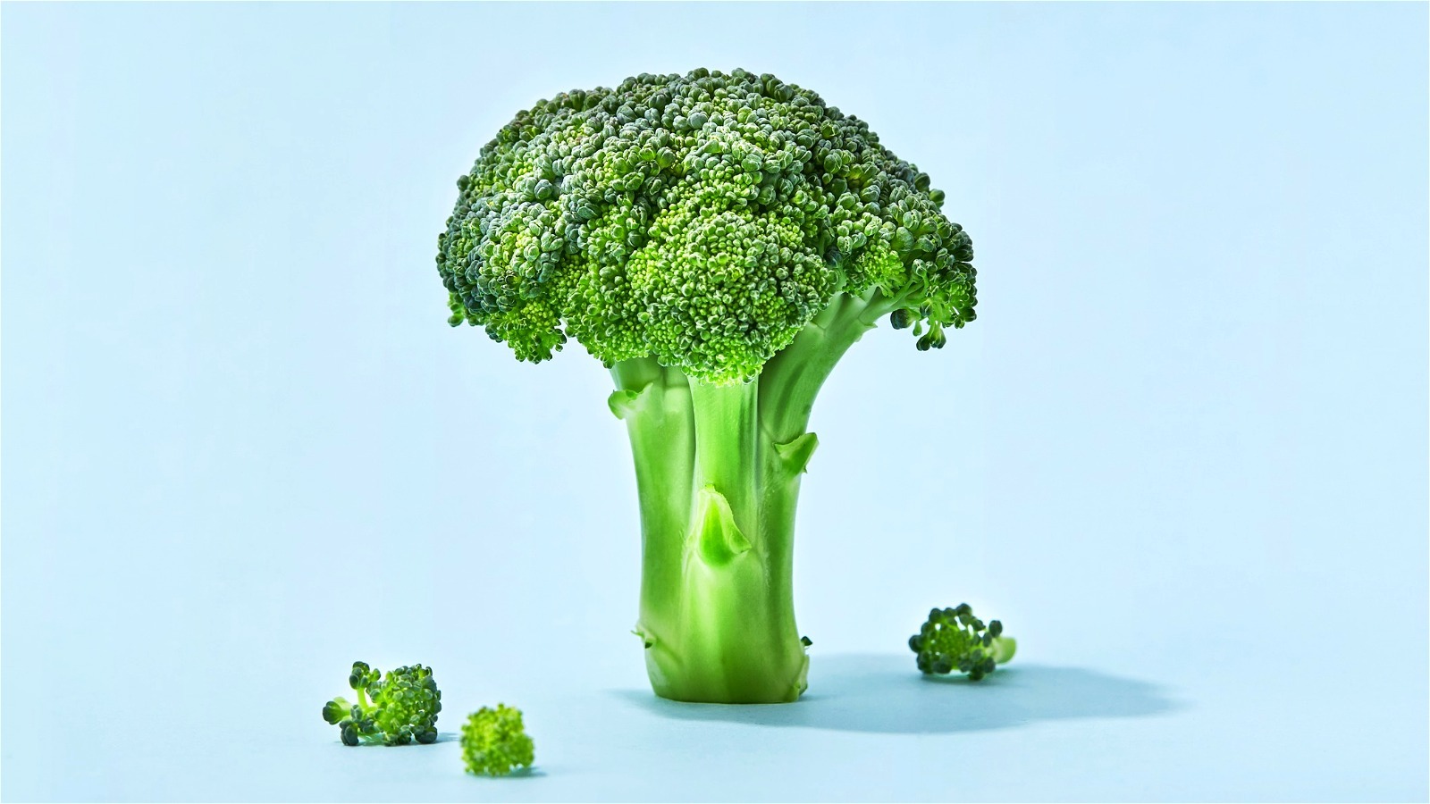 broccoli190.jpg