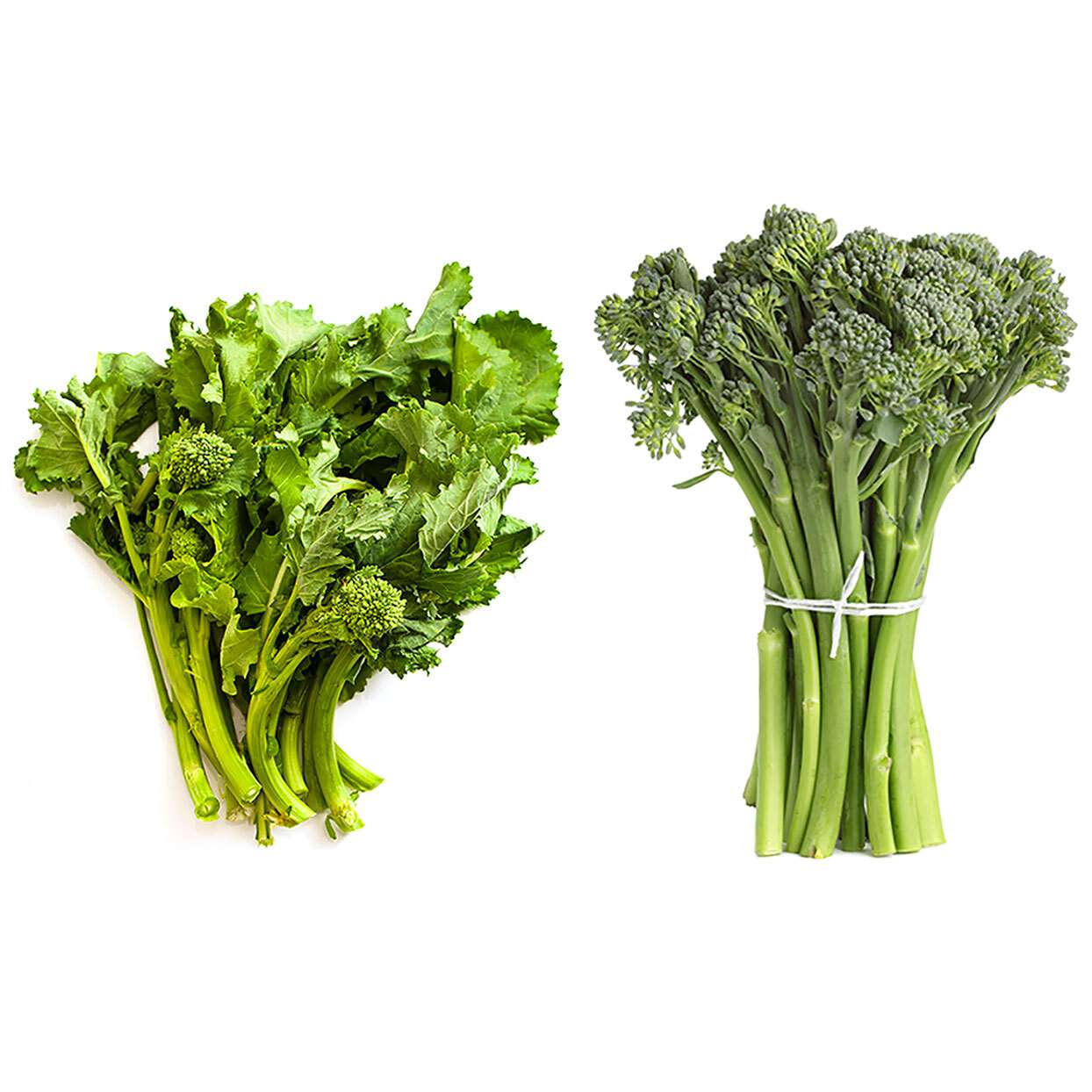 broccolini115.jpg