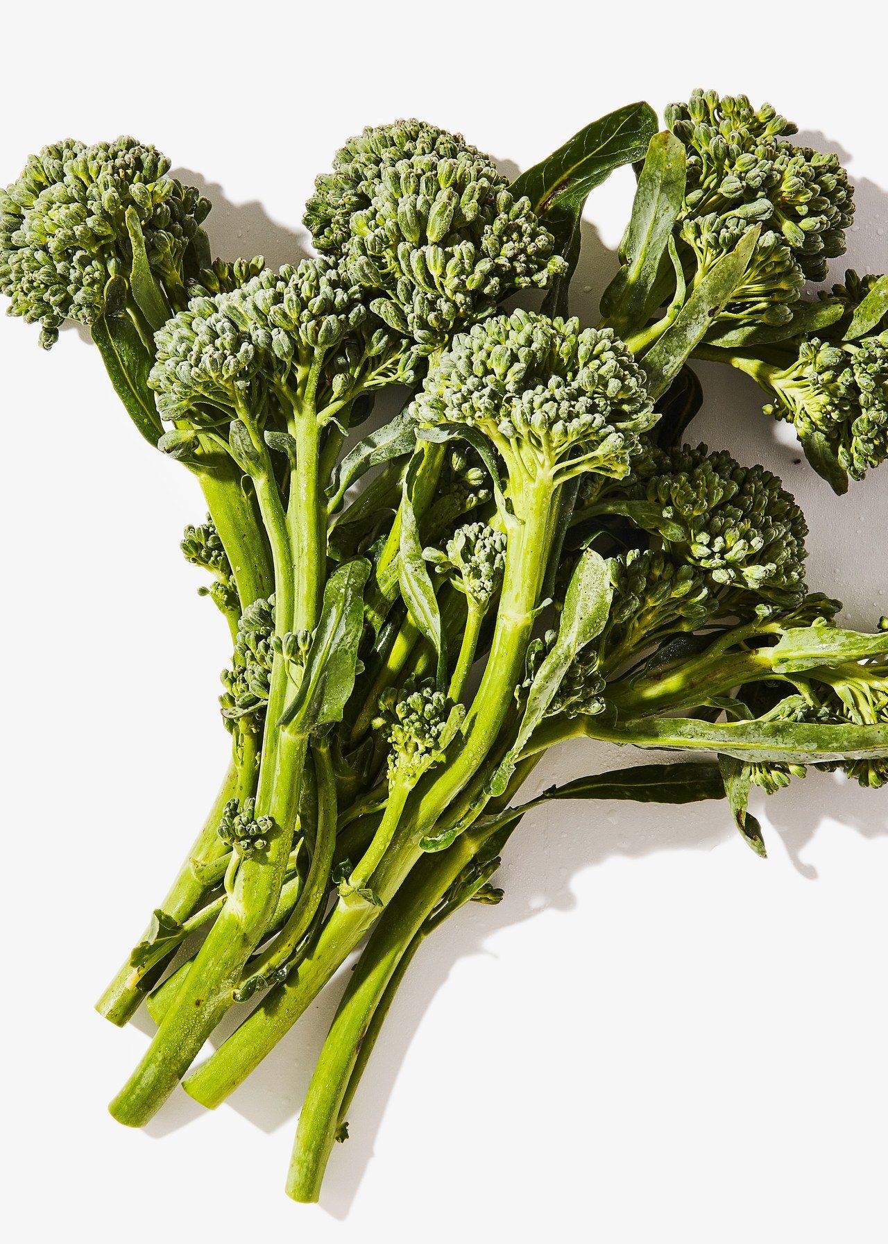 broccolini67.jpg