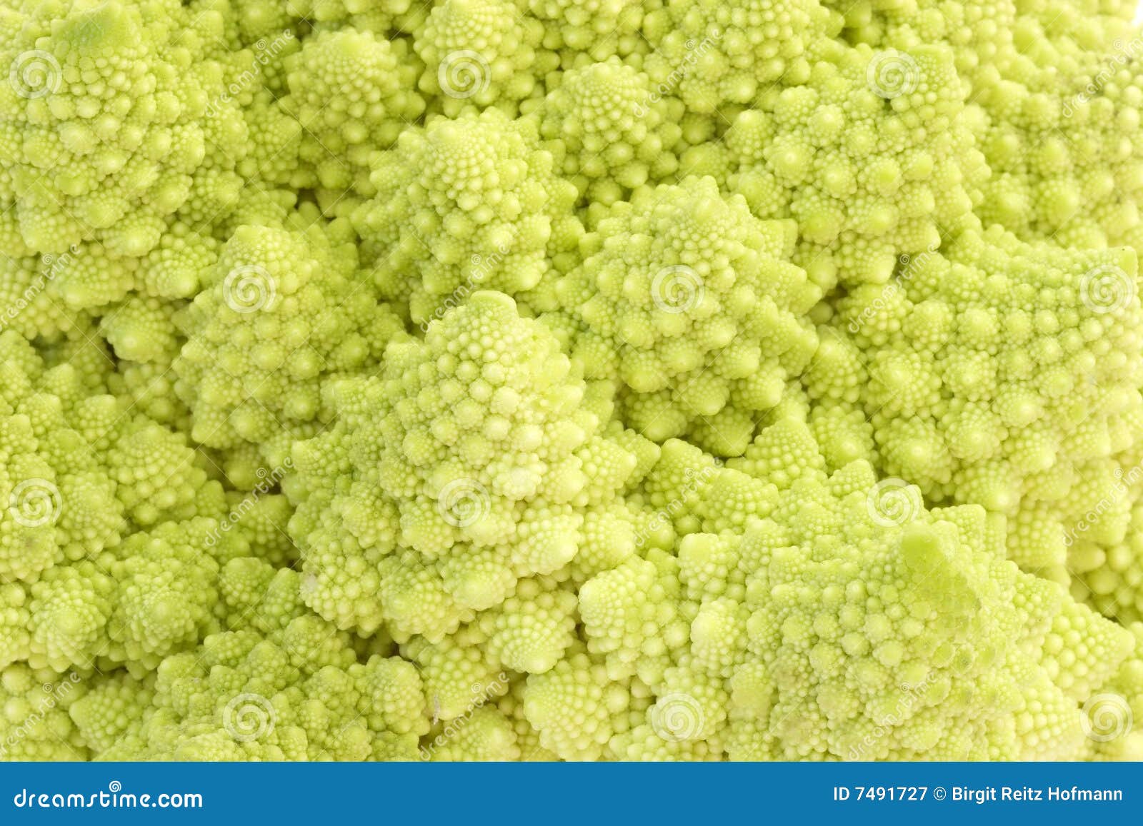 romanesco167.jpg