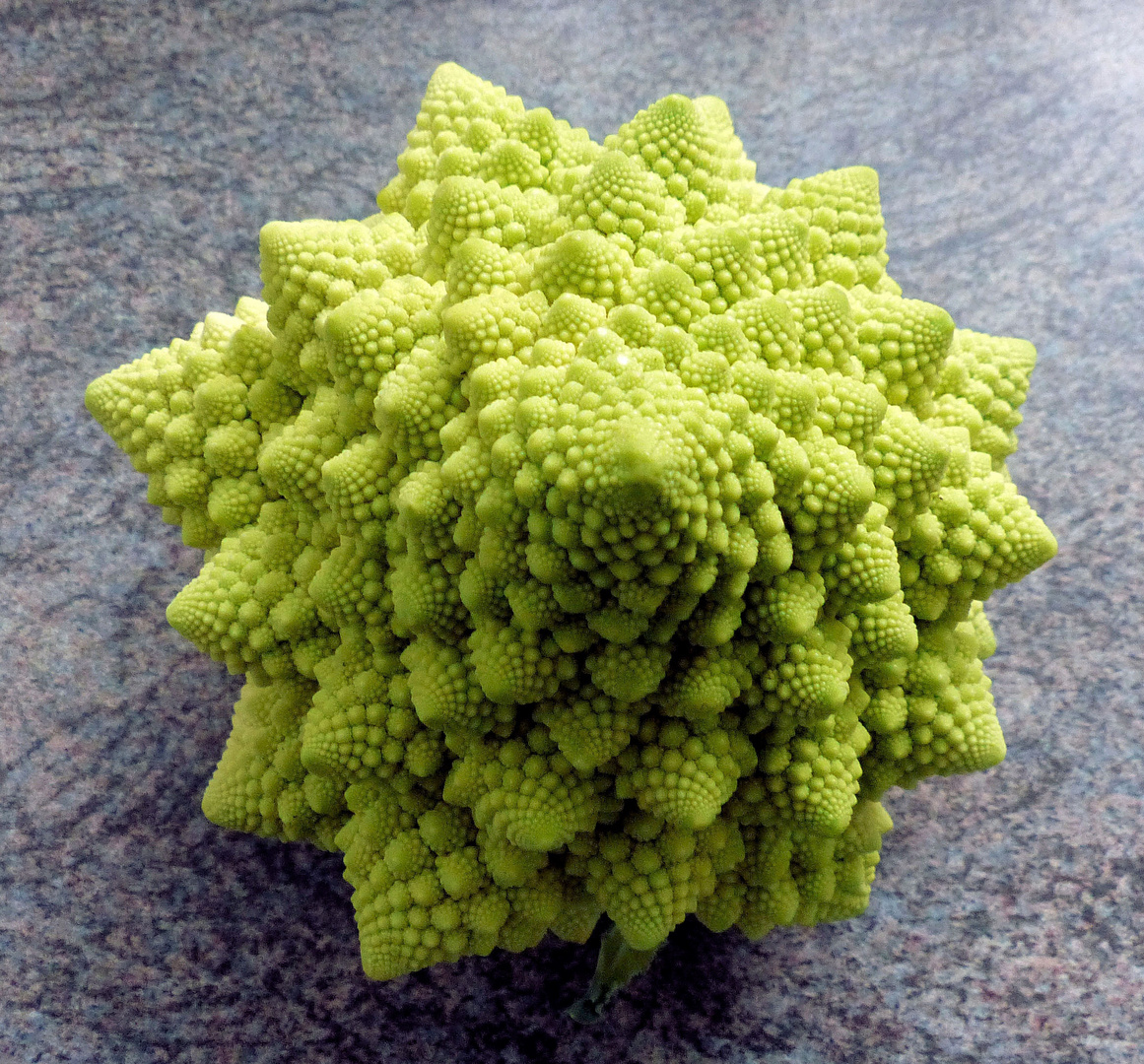 romanesco177.jpg