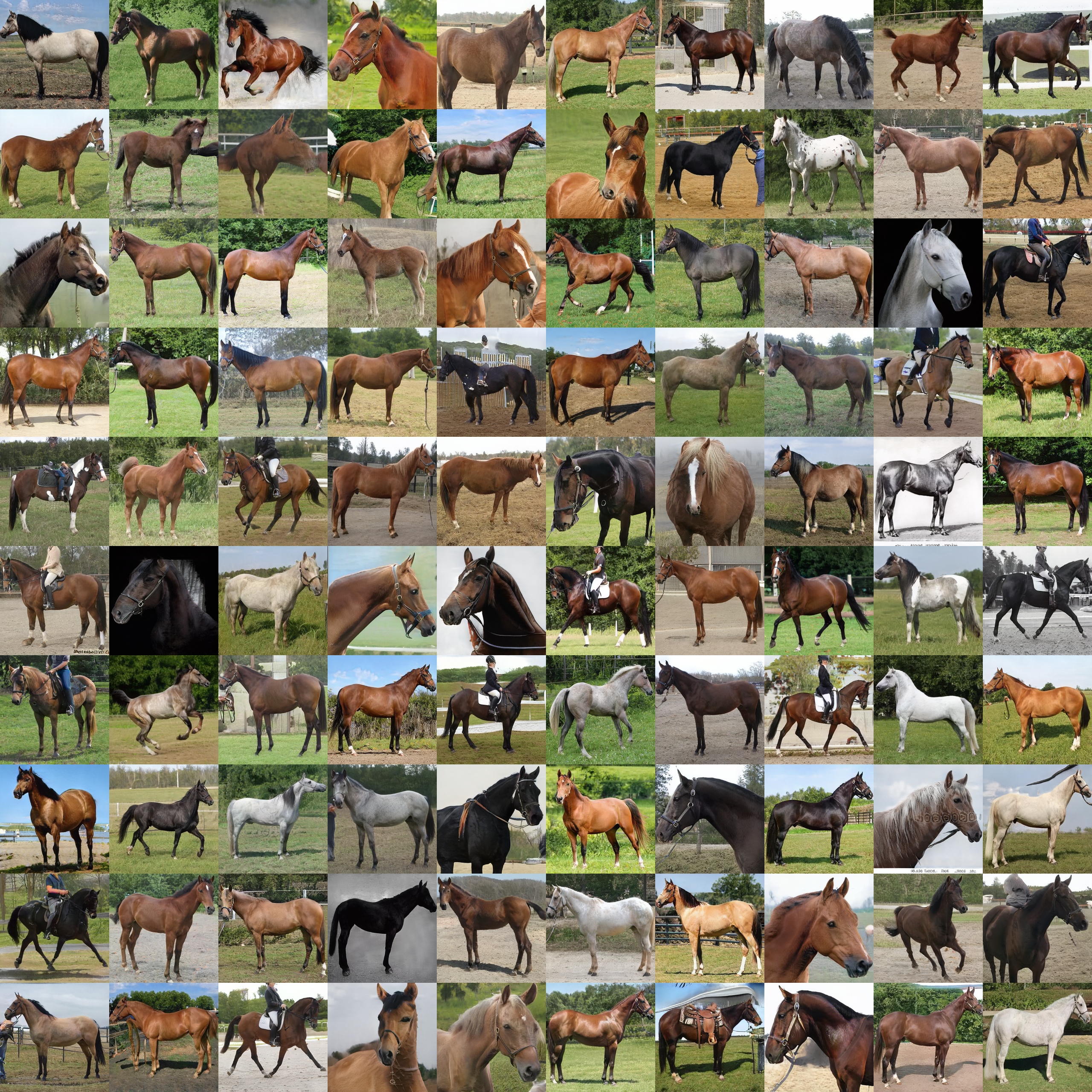 horses_256.jpg