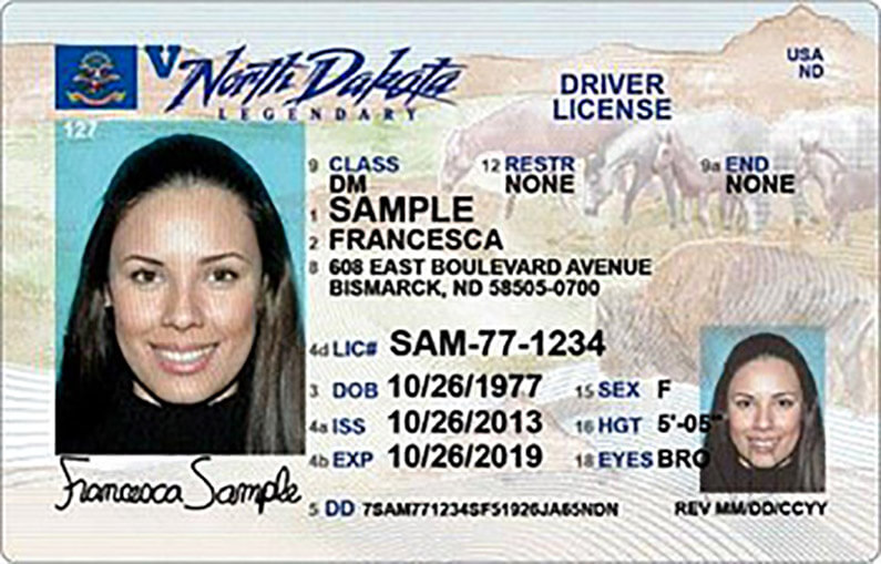 driver_license.png