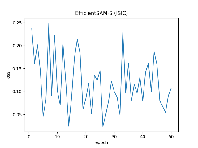 EfficientSAM-S (ISIC)_loss.png