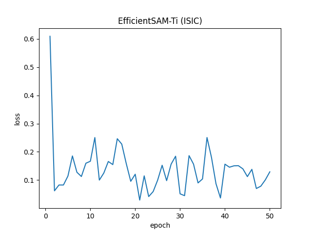 EfficientSAM-Ti (ISIC)_loss.png