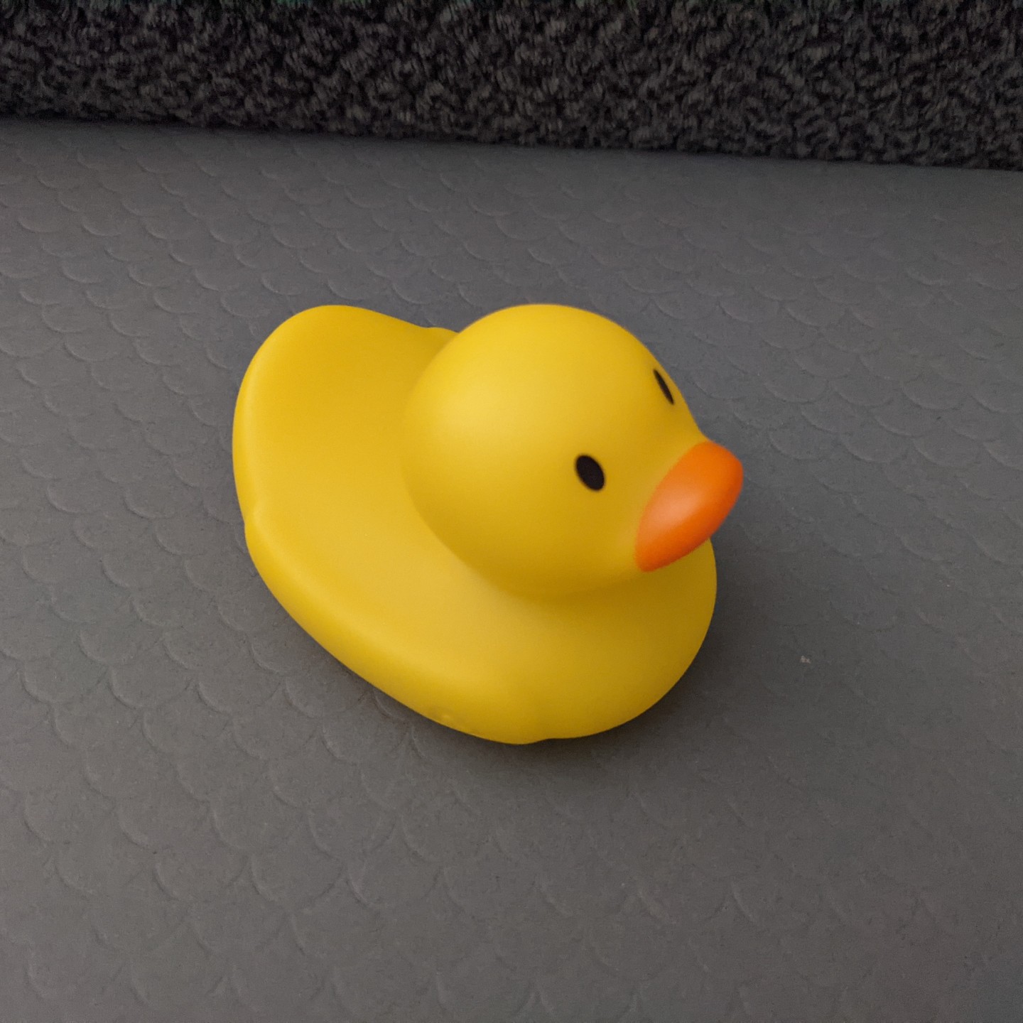 duck_toy_02.jpg