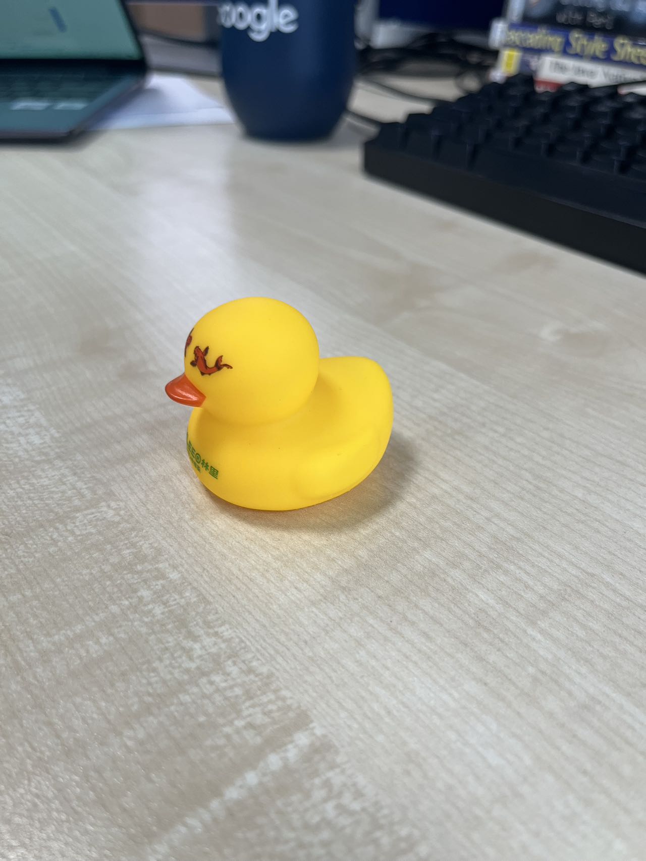 duck_1.jpg