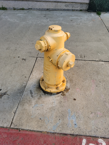 01_wild_hydrant.png