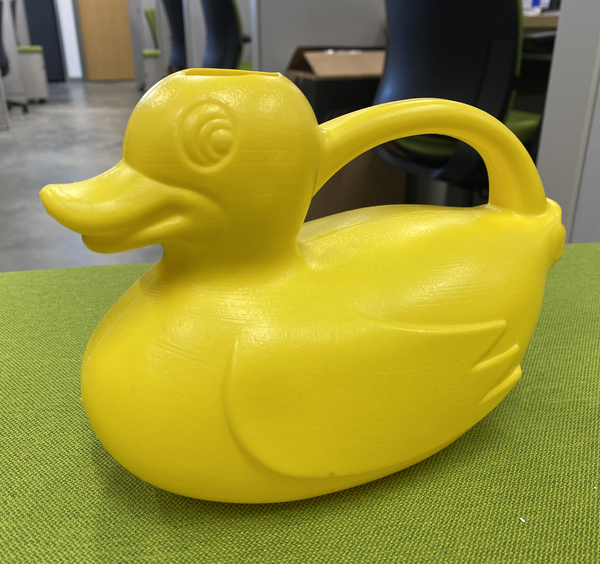 24_wild2_yellow_duck.png